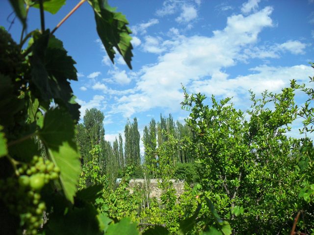 Gilgit Hunza 4 Days Tour