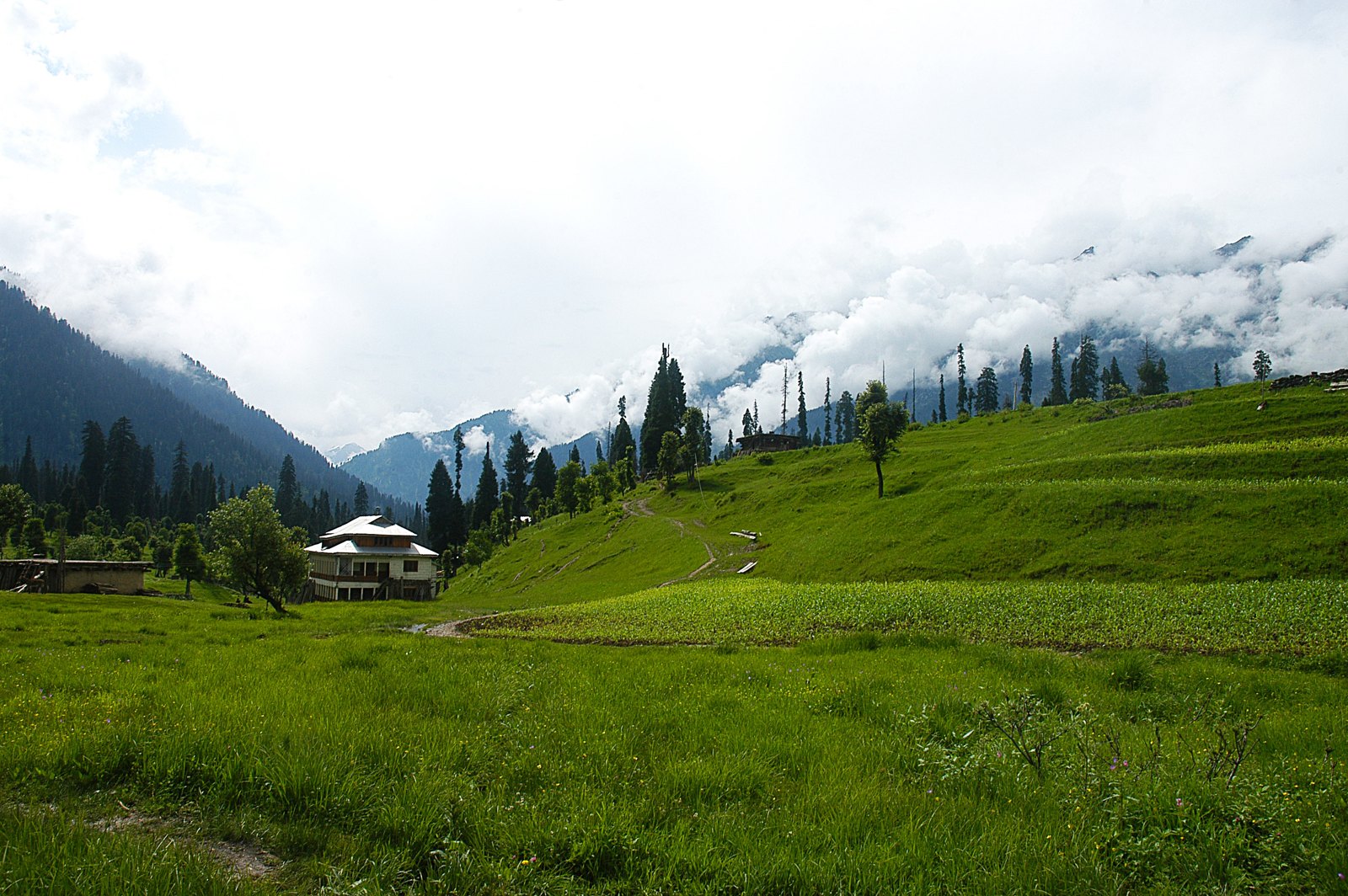 7 days neelum valley tour
