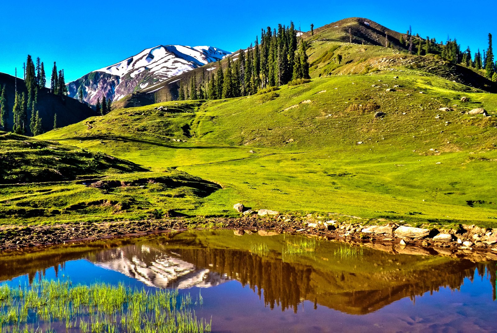 Naran Kaghan Tour with SpruceWood Luxury Resorts