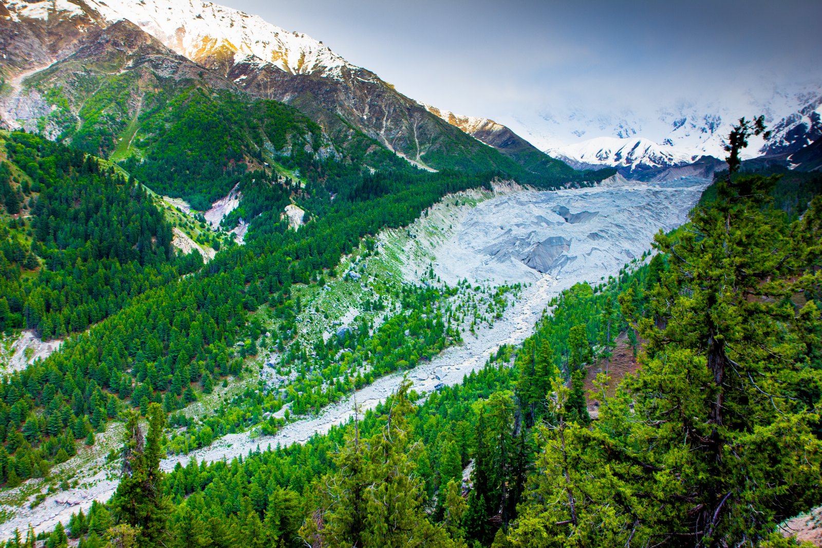 FairyMeadows Skardu Tour
